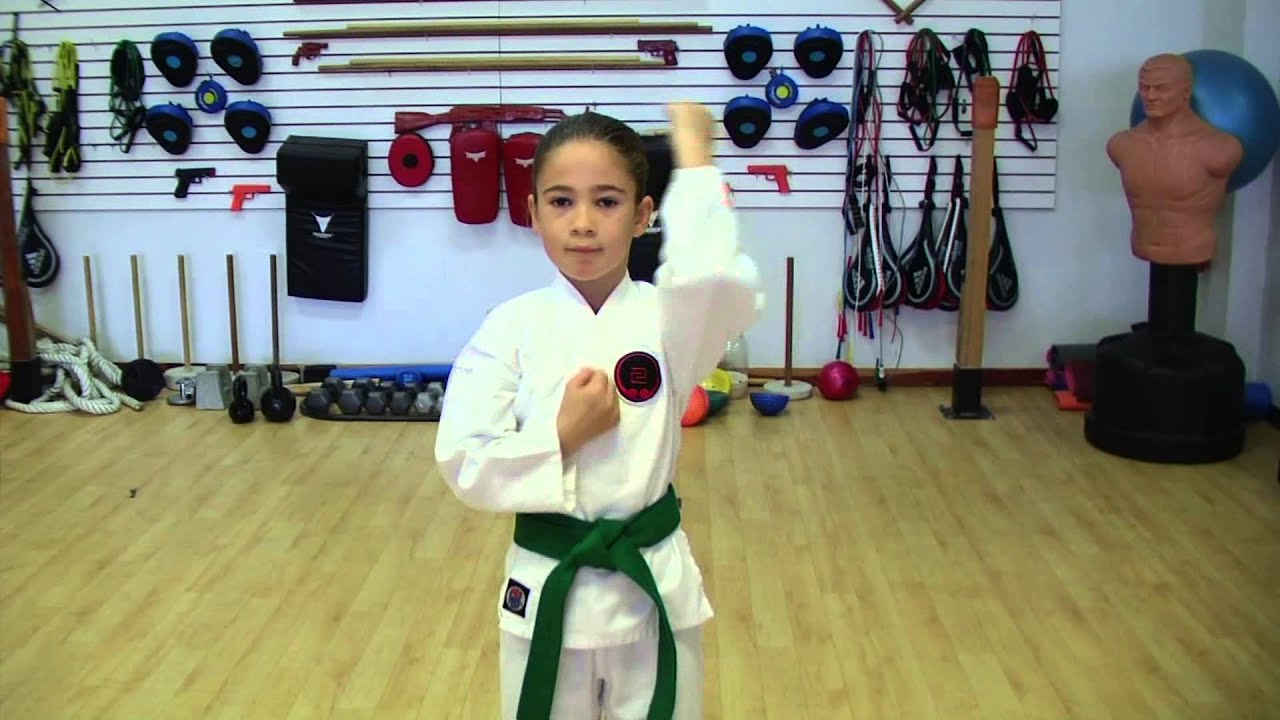 The Basic Blocks of Karate YouTube
