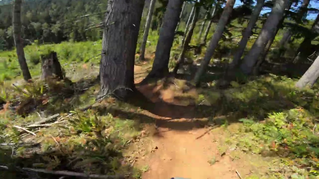 2025 Race Cascadia - North Slope - Stage 1 - Mr Bones