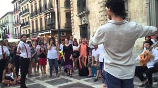 Flamenco dance group