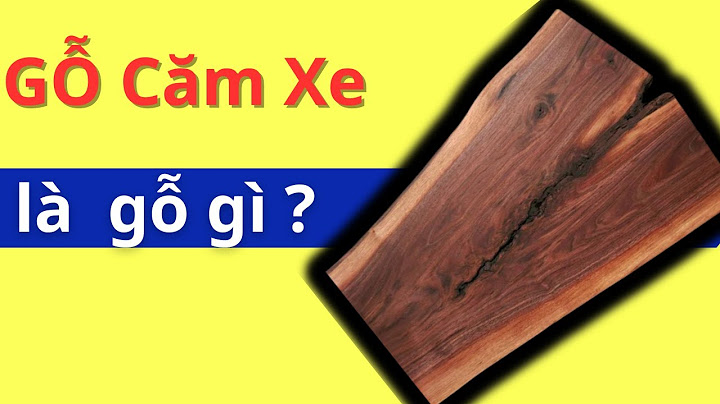 Gỗ căm xe hay còn gọi là gỗ gì năm 2024