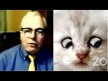 「自分に笑うしかない」、リモート裁判を「猫姿」で続行