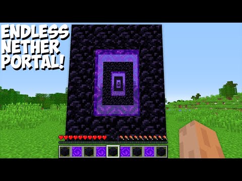 What INSIDE THIS ENDLESS NETHER PORTAL in Minecraft Challenge 100% Trolling