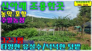 산아래 조용한 곳/농막 포함 주말농장 매매/창녕부동산,창녕군부동산,남지부동산,창녕토지매매,창녕땅매매,창녕군토지매매,창녕군땅매물,창녕시골땅매매,남지토지매매,창녕군시골토지매물