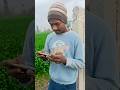 जब किसी के बाते दिल पर लगता #viral #trading #shorts #videos di DL Dilkhush 💔💔