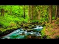 Stop Overthinking - Beautiful Relaxing Music for Stress Relief, Mindful Escapes, Calm Your Mind #15