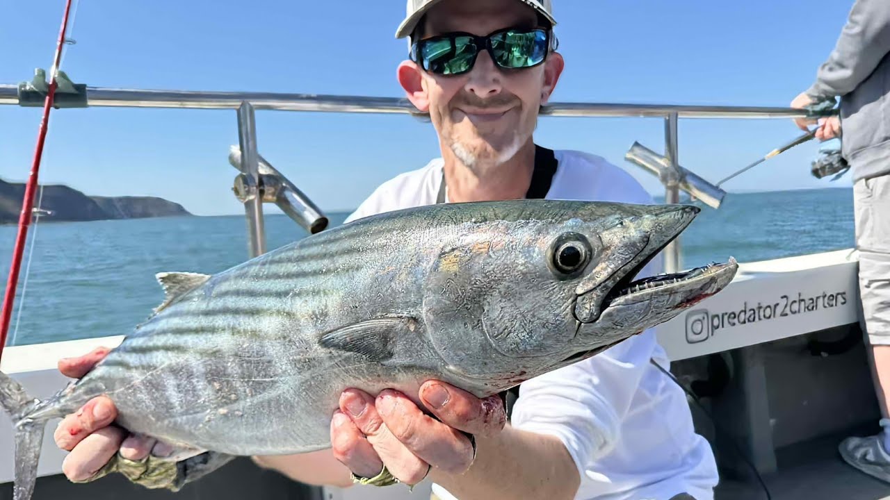 SURPRISE CRAZY FISH EATS MY BASS LURE!! RARE CATCH / BOAT FISHING UK