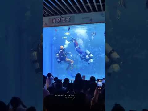 🌊🐟 From China come the wildest and most spectacular games… #shark #sharkweek #chinesedrama