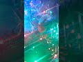 Wieczór pełen magii #music #bożenarodzenie2024 #song #świętabożegonarodzenia #dance #choinka