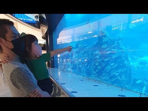 Dubai Aquarium 2020 |  World Largest Aquarium | Exploring UAE