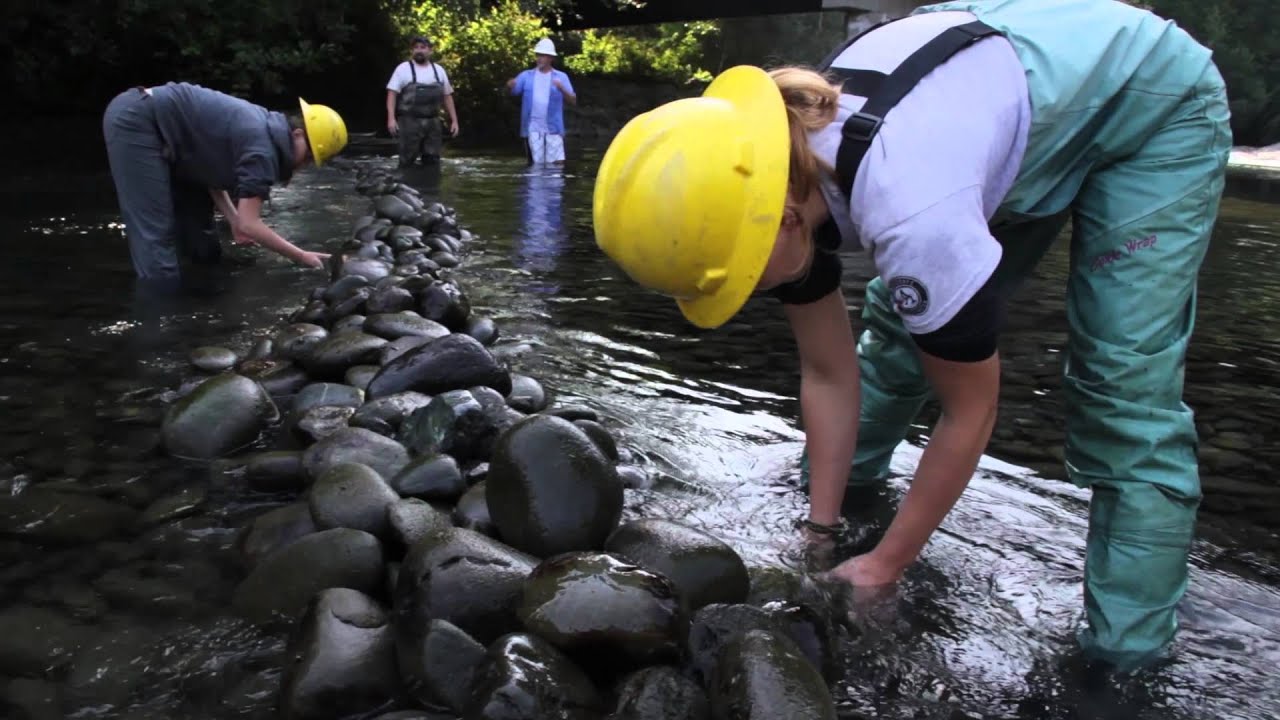 Dungeness River Fish Passage Aug 2015 YouTube