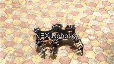 Longbow Hexapod platform by Nex Robotics