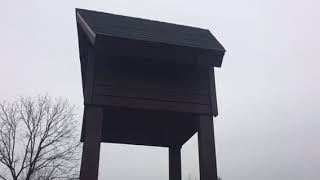 Bat colony at Kickapoo Woods