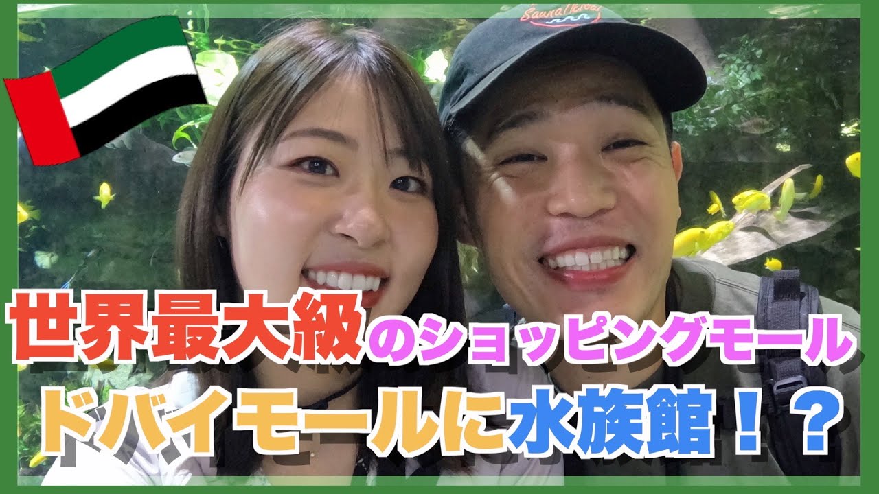 Is There An Aquarium In Honolulu Is There An Aquarium In Honolulu