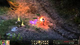 Sensuki's Pillars of Eternity Beginner's Guide - Melee Cipher Sensuki's Pillars of Eternity Beginner's Guide - Melee Cipher