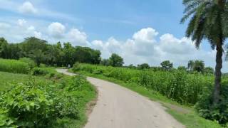 Beautiful scenery of West bengal.