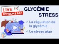 Rvisions bac sp svt  glycmie  stress 