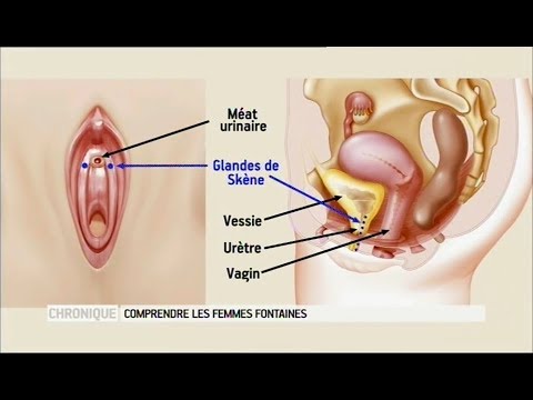 Vidéo: Dois-je Faire Pipi Ou Suis-je Excitée? Et Autres Mystères Du Corps Féminin