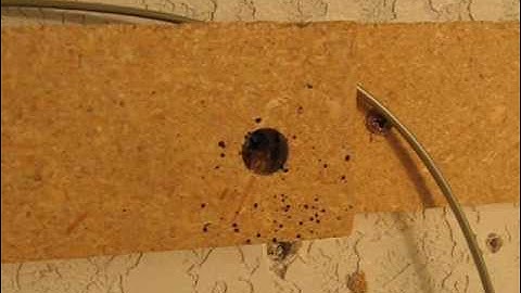 How to Find Bed Bugs in Hotels