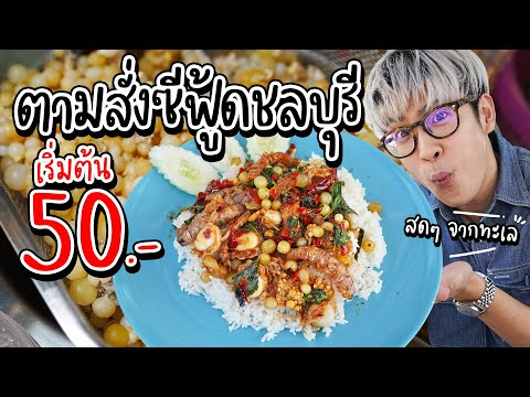 ครัวหัวสะพาน ชลบุรี ตามสั่งซีฟู้ดสดๆ จากทะเล เริ่มต้น 50 บาท | อร่อยบอกต่อ