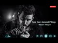 Tera yaar jamanat p aaya kalyug  slowed reverb  raj mawar  viren 20