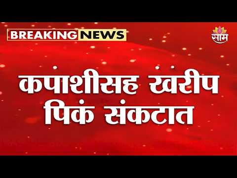 कपाशीसह खरीप पिकं संकटात | Amaravti Drought News