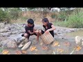 Survival in forest: Catch crab in river for survival food - Cooking crab with chili sauce for dinner