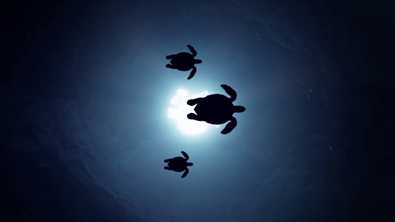 Powerful 20 Minute Study Music for Homework, College, and Deep Work Focus Sessions