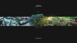 The Reactivitz, DjseanEboy - Strange [Immersion]