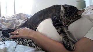 Cute Is Not Enough!  Cute Cats And Their Owners Sleep Together