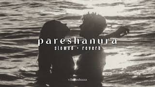 pareshanura - dhruva || telugu || slowed + reverb