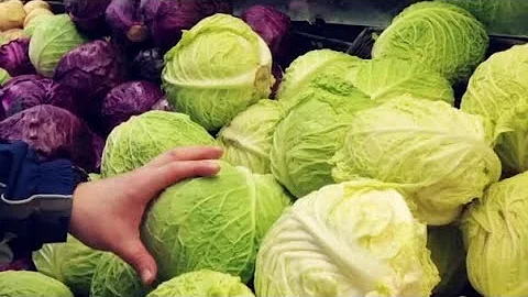 Quanto tempo dura repolho picado na geladeira?