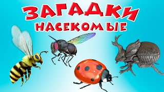 Загадки Насекомые 🐜 Для детей 🐝 Учим насекомых 🐞 Насекомые мультик 🐛 Развивающие мультики