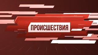 Рубрика «Происшествия». Выпуск 22 ноября 2019 года