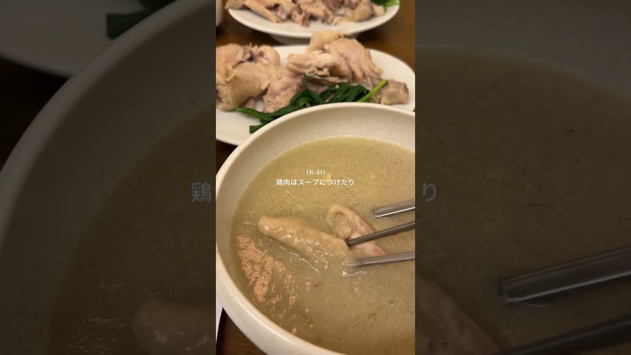 韓国vlog🌿