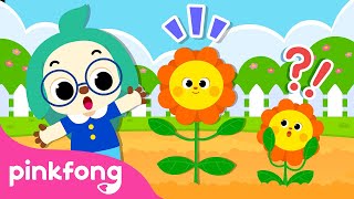 im a big kid healthy habits songs song for preschool kids pinkfong