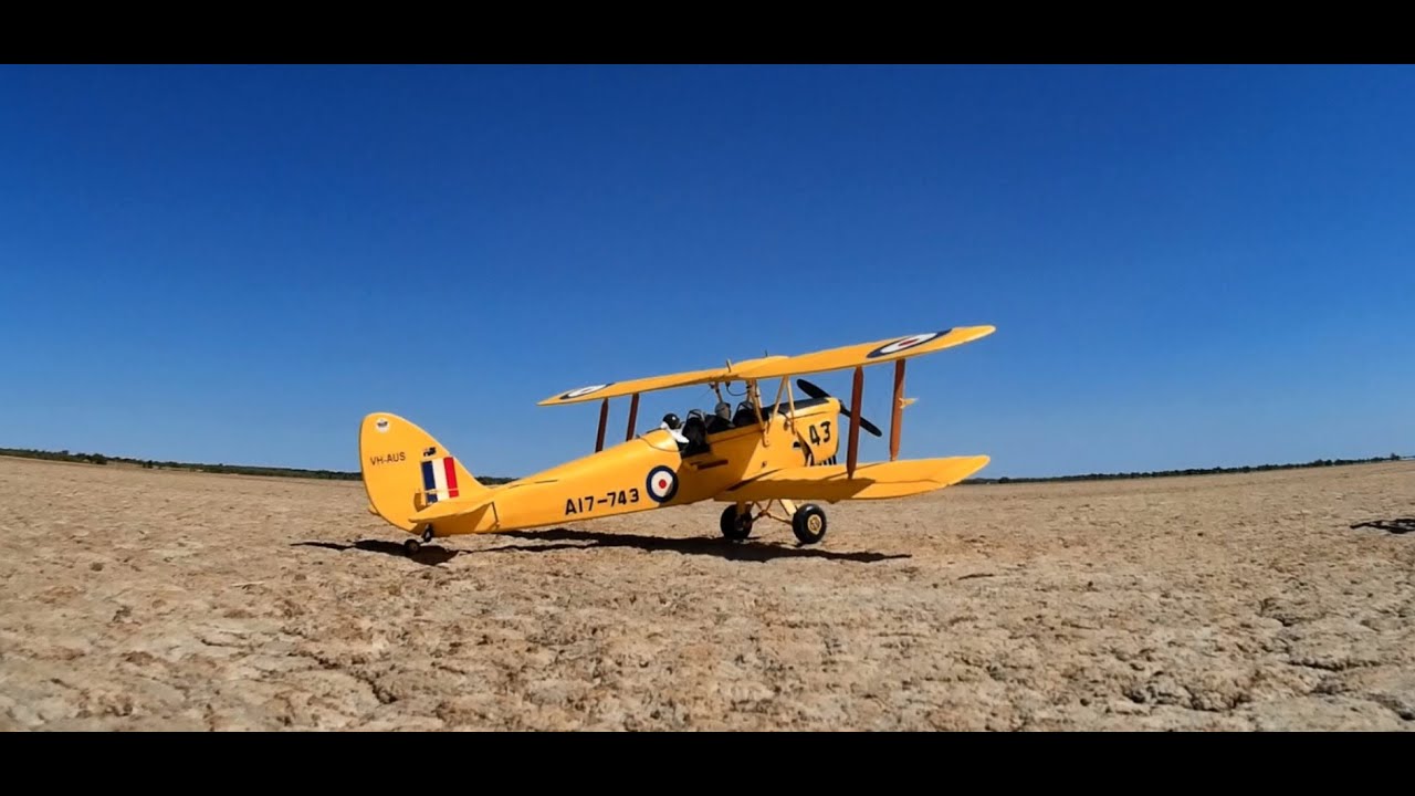 dynam tiger moth