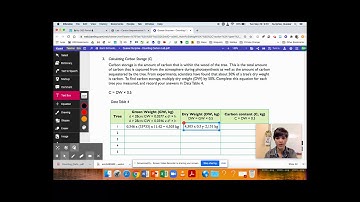 Carbon in Trees #5 - Calculating Carbon