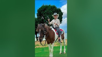 Happy New Year 2025! Langbiang chúc Quý Khách hàng, Quý Đối tác một năm mới: An Khang – Thịnh Vượng.