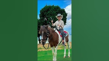 Happy New Year 2025! Langbiang chúc Quý Khách hàng, Quý Đối tác một năm mới: An Khang – Thịnh Vượng.