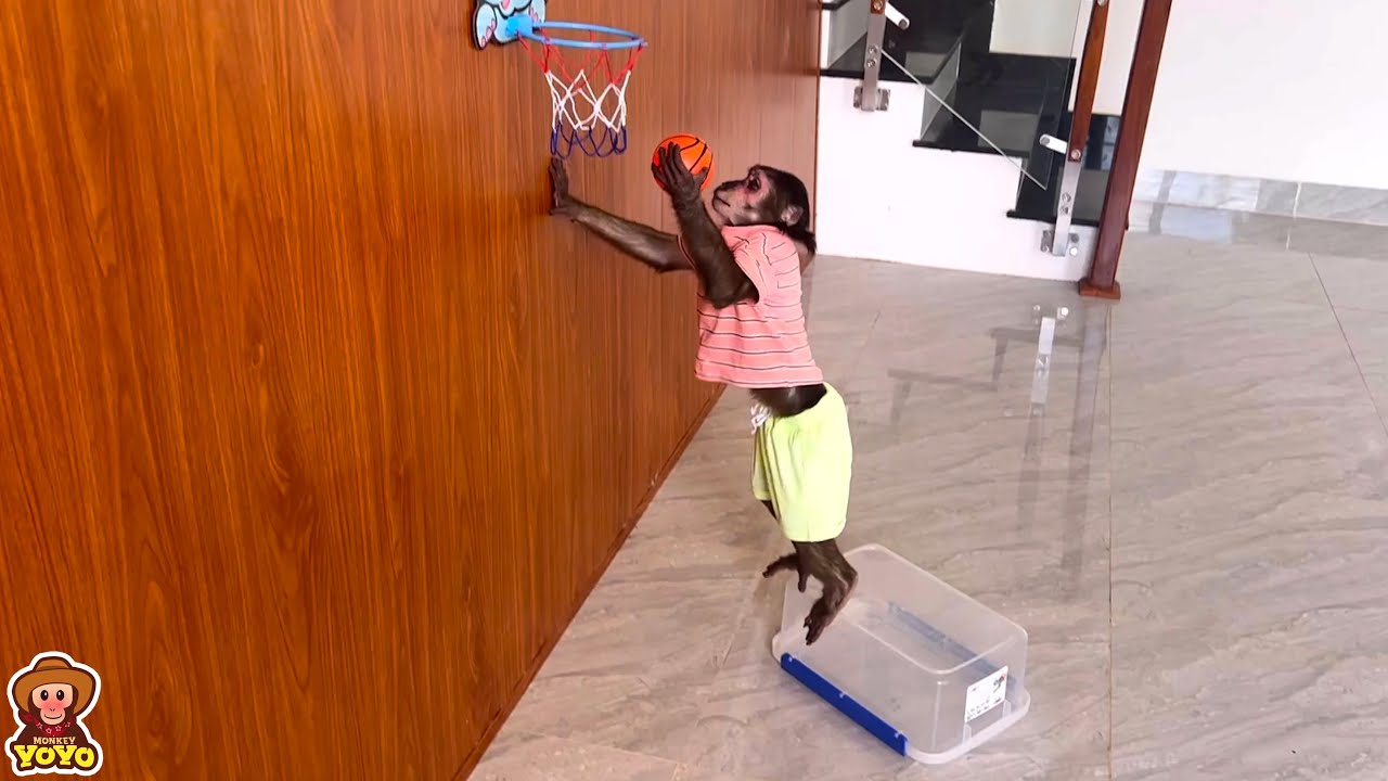 YoYo JR knows how to play basketball YouTube