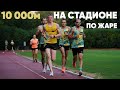 АКАДЕМИЧЕСКАЯ БРИЧКА, 10000м НА СТАДИОНЕ ПО ЖАРЕ / ВЛОГ