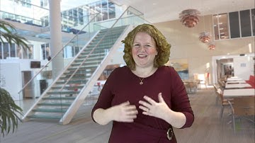 Reporting on: Beastly Blockchain Bugs by Sanne Visser