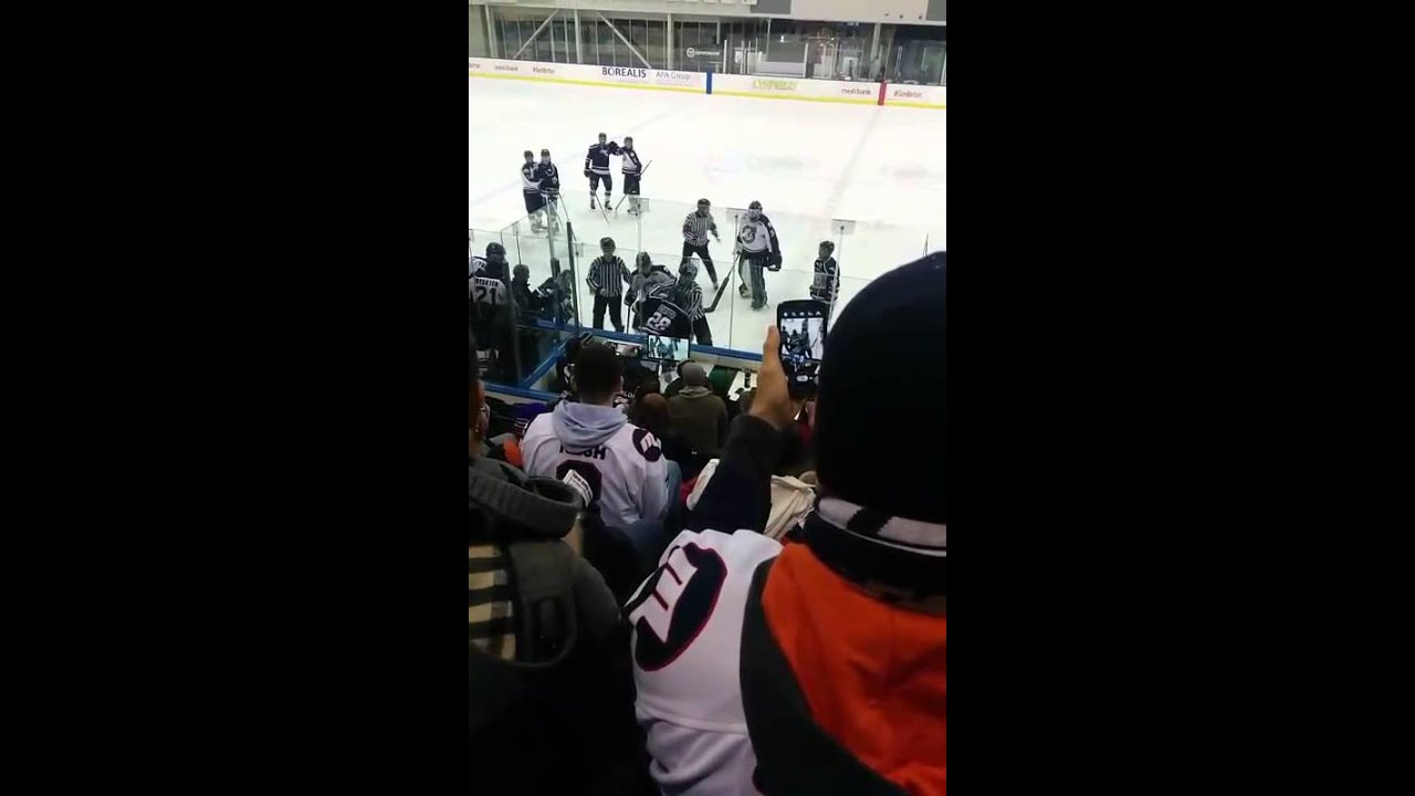 Aihl fight