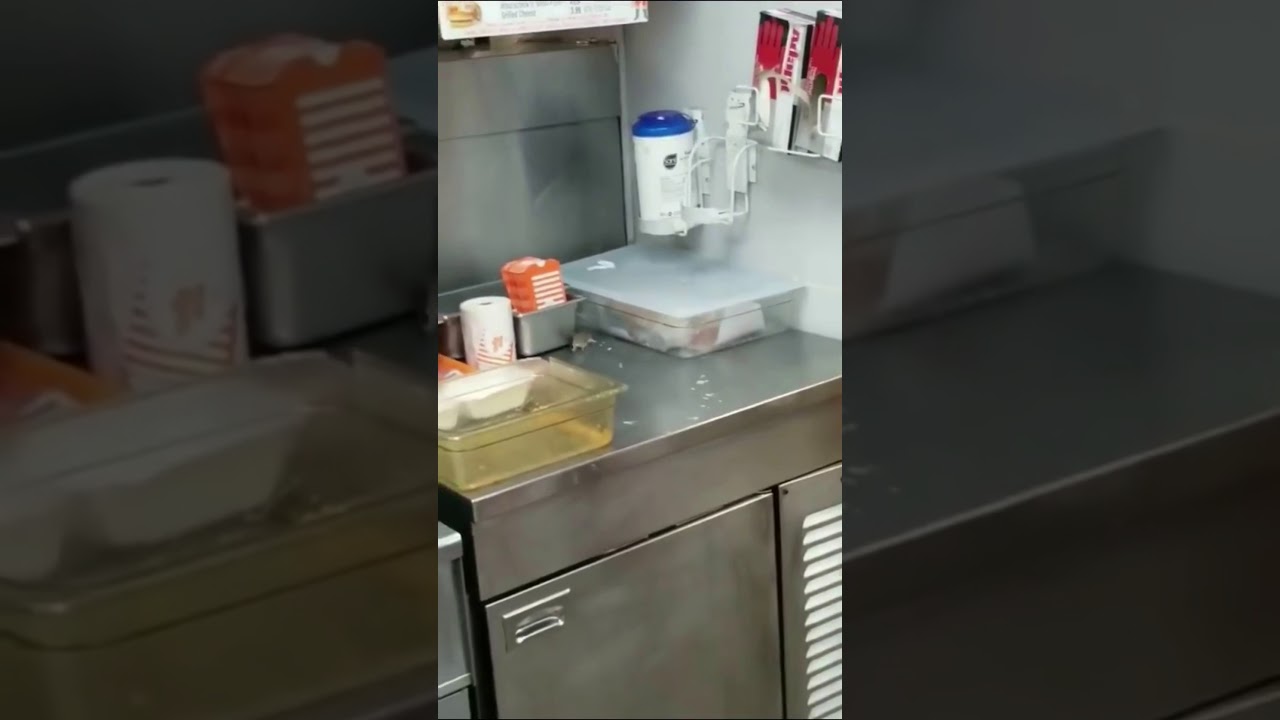 Mouse Jumps Into Fryer At WhataBurger in Texas