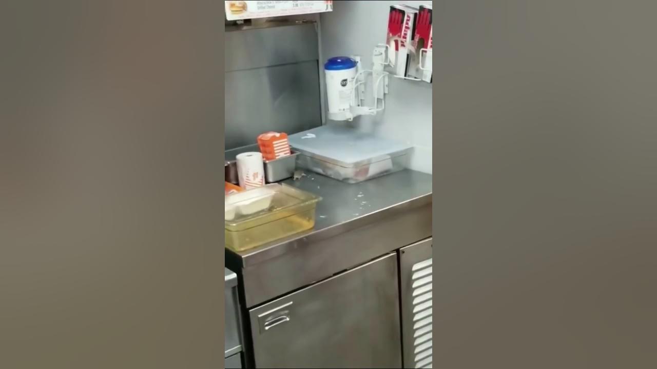 Mouse Jumps Into Fryer At WhataBurger in Texas YouTube
