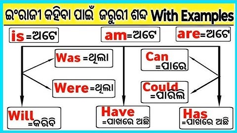 Helping Verbs In Odia / Have/Has/Do/Does/Be/Been/Being Use In Odia / English Grammar In Odia