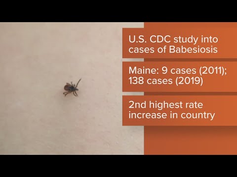 Rise in tick-borne