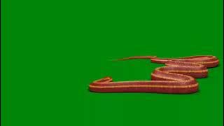 Nagin Vishaka green screen | Nagin 3