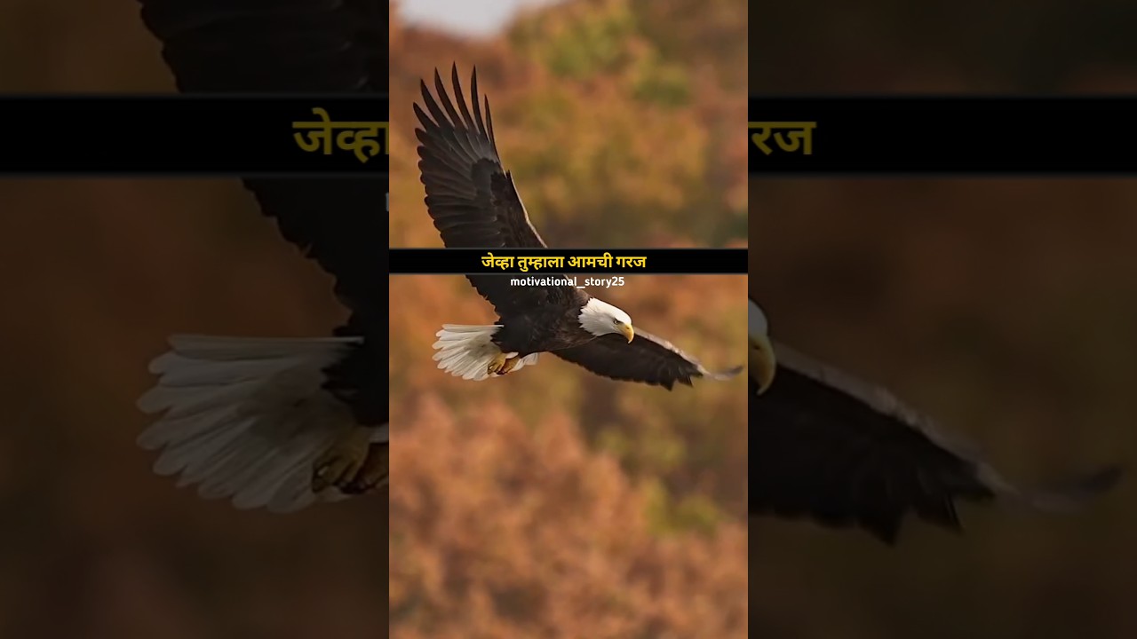 गरज।motivational speech।#marathi #shortsfeed #shorts #viralmotivation #motivation