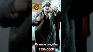 Огурцов 2023